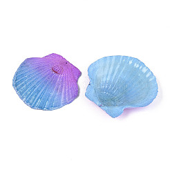 Spray Painted Natural Scallop Shell Big Pendants&nbsp;SSHEL-T017-14C
