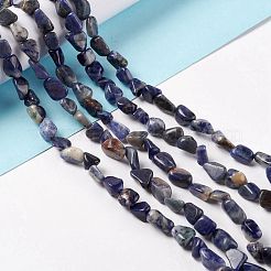 Natural Sodalite Beads Strands&nbsp;G-E115-01