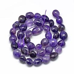Natural Amethyst Beads Strands&nbsp;G-R445-8x10-03