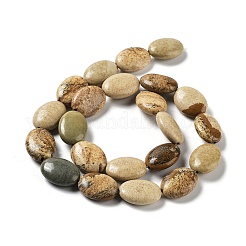 Natural Picture Jasper Beads Strands&nbsp;G-L164-A-28