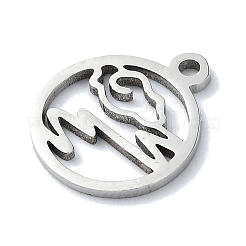 Non-Tarnish 304 Stainless Steel Charms&nbsp;STAS-C097-39P