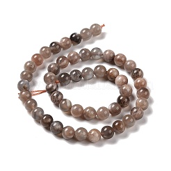 Natural Multi-Moonstone Beads Strands&nbsp;G-I247-14A-01