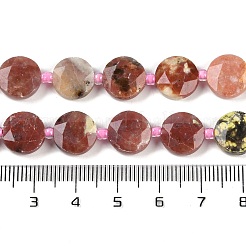 Natural Plum Blossom Jasper Beads Strands&nbsp;G-C116-A16-01