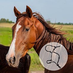 2Pcs 2 Style Adjustable Nylon Knitted Horse Halters&nbsp;FIND-OC0002-04
