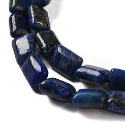 Natural Lapis Lazuli Beads Strands&nbsp;G-G085-A02-01