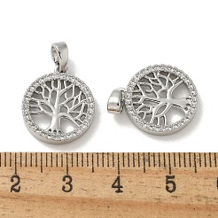 Brass Micro Pave Cubic Zirconia Pendents&nbsp;X-KK-R210-21P-01