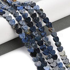 Natural Sodalite Beads Strands&nbsp;G-M403-A08-02