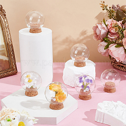 Glass Dome Cover&nbsp;AJEW-WH0709-032
