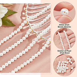 Shell Pearl Beads Strands&nbsp;SHEL-WH0001-009A