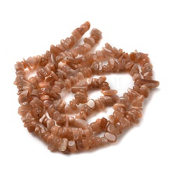 Natural Sunstone Chip Beads Strands&nbsp;G-E271-87