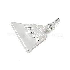 Brass Pendants&nbsp;KK-I276-67P