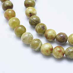 Natural Serpentine Jade Beads Strands&nbsp;G-P353-06-8mm
