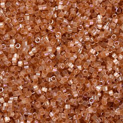 MIYUKI Delica Beads&nbsp;SEED-JP0008-DB1864