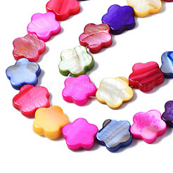 Natural Freshwater Shell Beads Strands&nbsp;SHEL-S278-021