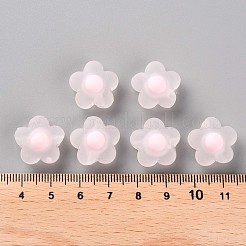 Transparent Acrylic Beads&nbsp;TACR-S152-09C-08