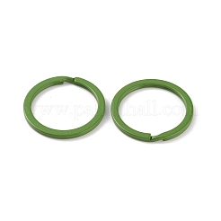 Spray-painted Iron Keychains Clasps&nbsp;IFIN-WH0063-13I