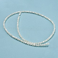 Natural Trochid Shell/Trochus Shell Beads Strands&nbsp;BSHE-Z005-04A