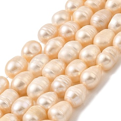 Natural Cultured Freshwater Pearl Beads Strands&nbsp;PEAR-I007-01E-01B