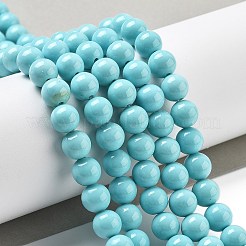 Synthetic Turquoise Beads Strands&nbsp;G-A255-A04-01B