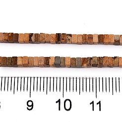 Natural Picture Jasper Beads Strands&nbsp;G-N342-74