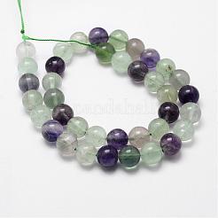 Natural Fluorite Bead Strands&nbsp;G-D840-56-6mm-AB