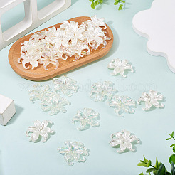 40Pcs 2 Styles Plastic Bead Caps&nbsp;KY-TA0001-67