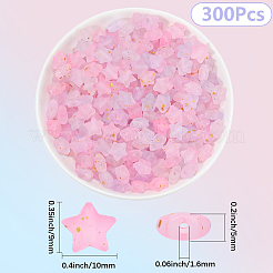 300Pcs Frosted Acrylic Beads&nbsp;OACR-PA0001-71B