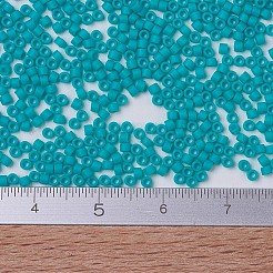 MIYUKI Delica Beads&nbsp;SEED-MY11-DB0793