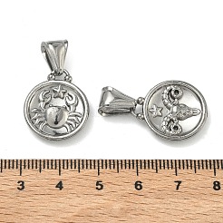 12Pcs 304 Stainless Steel Pendants&nbsp;STAS-L022-306P-M