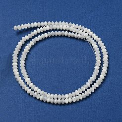 Natural Trochus Shell Rondelle Beads Strands&nbsp;SSHEL-H072-01B