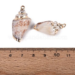 Electroplated Golden Brass Trim Natural Spiral Shell Pendants&nbsp;SSHEL-N042-27