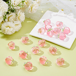 40Pcs Transparent Acrylic Pendants&nbsp;MACR-WR0001-05B