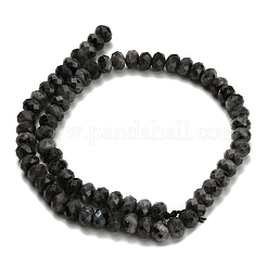 Natural Larvikite Beads Strands&nbsp;G-Z111-A42