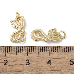 Brass Hook and S-Hook Clasps&nbsp;KK-G497-25G