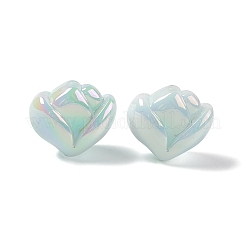Opaque Acrylic Beads&nbsp;OACR-E004-16