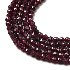 Natural Garnet Beads Strands&nbsp;X-G-I341-09B-01
