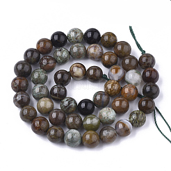 Natural Serpentine Beads Strands&nbsp;G-S333-10mm-015