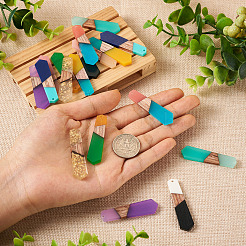 18Pcs 9 Styles Resin & Walnut Wood Pendants&nbsp;RESI-BT0001-25