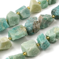 Raw Rough Natural Amazonite Beads Strands&nbsp;G-Z087-B24