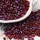 Spray Painted Glass Seed Beads&nbsp;SEED-F005-06A-03-1