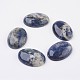 Natural Sodalite Flat Back Cabochons&nbsp;G-G741-22x30mm-06-1