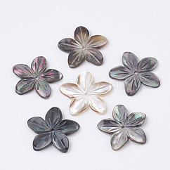 Natural Black Lip Shell Beads, Flower, 18~20x18~21x2mm, Hole: 1mm