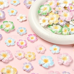 60Pcs 2 Styles Plumeria Flower Opaque Resin Cabochons&nbsp;CRES-YW0002-60