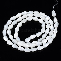 Natural Trochid Shell/Trochus Shell Beads Strands&nbsp;SSHEL-N034-94A-B01