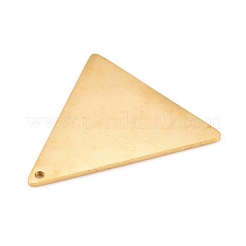 304 Stainless Steel Pendants&nbsp;STAS-L238-113A-G