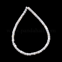 Natural Freshwater Shell Beads Strands&nbsp;SH-CBA2978-21C