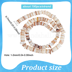 Natural Shell Beads Strands&nbsp;BSHE-WH0013-01