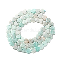 Natural Amazonite Beads Strands&nbsp;G-M403-A53-02