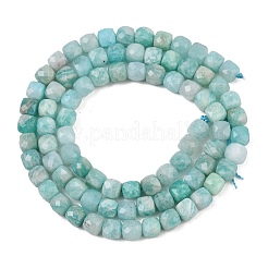 Natural Amazonite Beads Strands&nbsp;G-D0003-B11-01