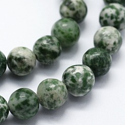 Natural Green Spot Jasper Beads Strands&nbsp;G-I199-30-10mm